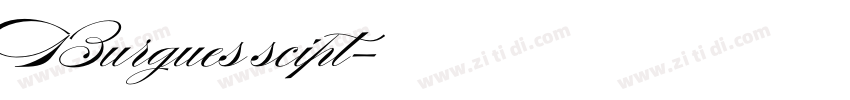 Burgues scipt字体转换